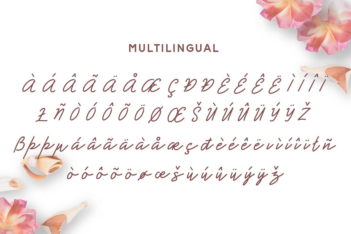 Shearlight - Monoline Script, a Script Font by Patria Ari (P4tcreativa) (Photo 8 of 9)