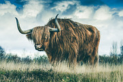 300 Professional Lightroom Presets, an Action Add-On by Madison Colt Studios (Thumbnail 25 of 29)