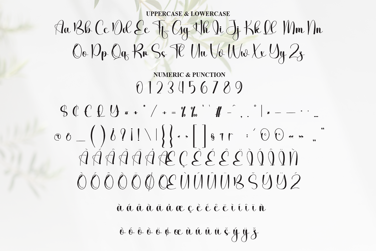 Bigday | Script Font, a Handwritten Font by Scratchones (Photo 7 of 9)
