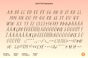 CS Roast Pixel, a Serif Font by Craft Supply Co. (Thumbnail 8 of 8)