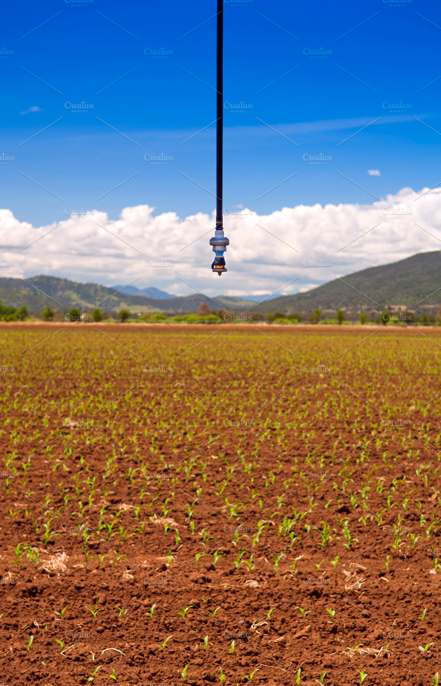 Farming Irrigation Sprinkler, an Industrial Photo by THP Creative