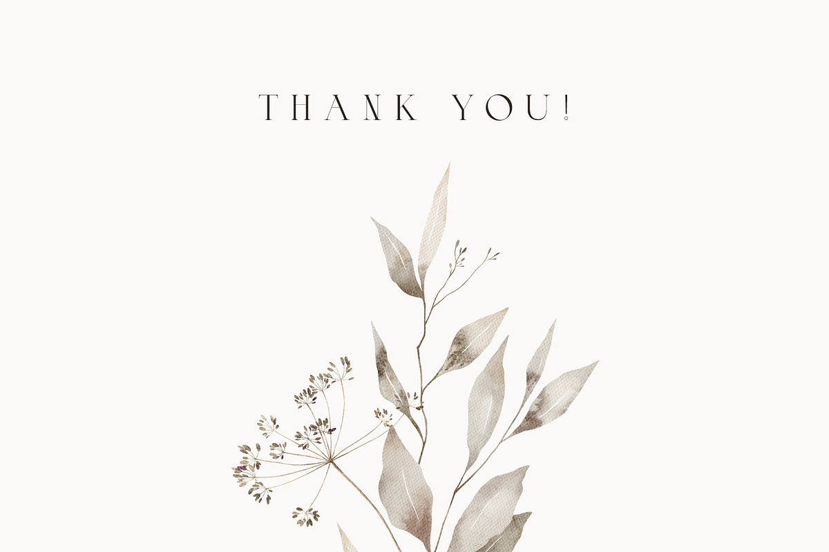 Wildflowers Watercolor Wild Botany, a Decorative Illustration by Kreker Kate (Photo 11 of 11)