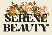 Qusty Elegant Serif Font Typeface, a Serif Font by Graphicxell (Thumbnail 2 of 7)