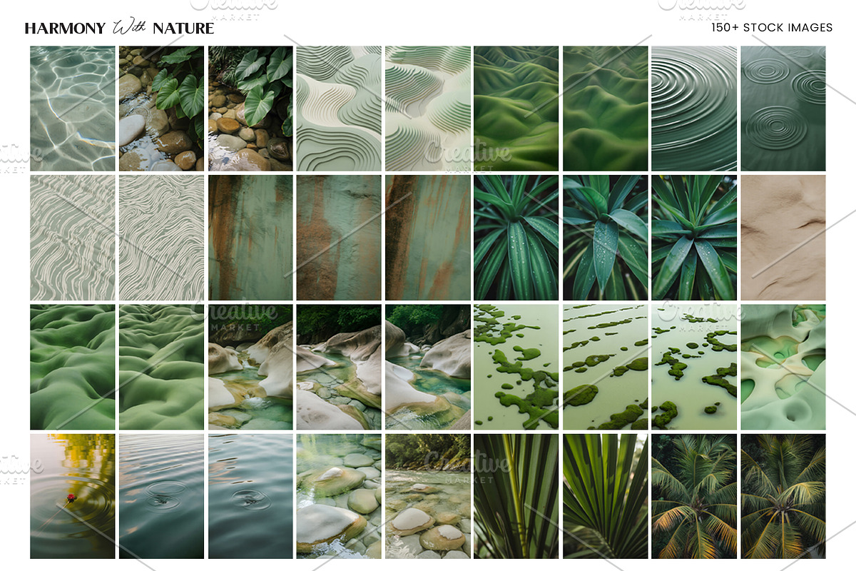 Harmony with Nature | 100+ Luminous, a Beauty & Fashion Photo by gstudiovect21 (Photo 4 of 4)