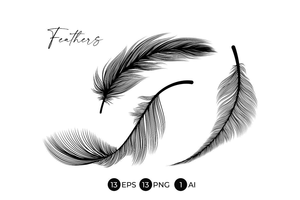 Black Feathers Stencil Boho Line Art, an Illustration by ilonitta (Photo 3 of 6)