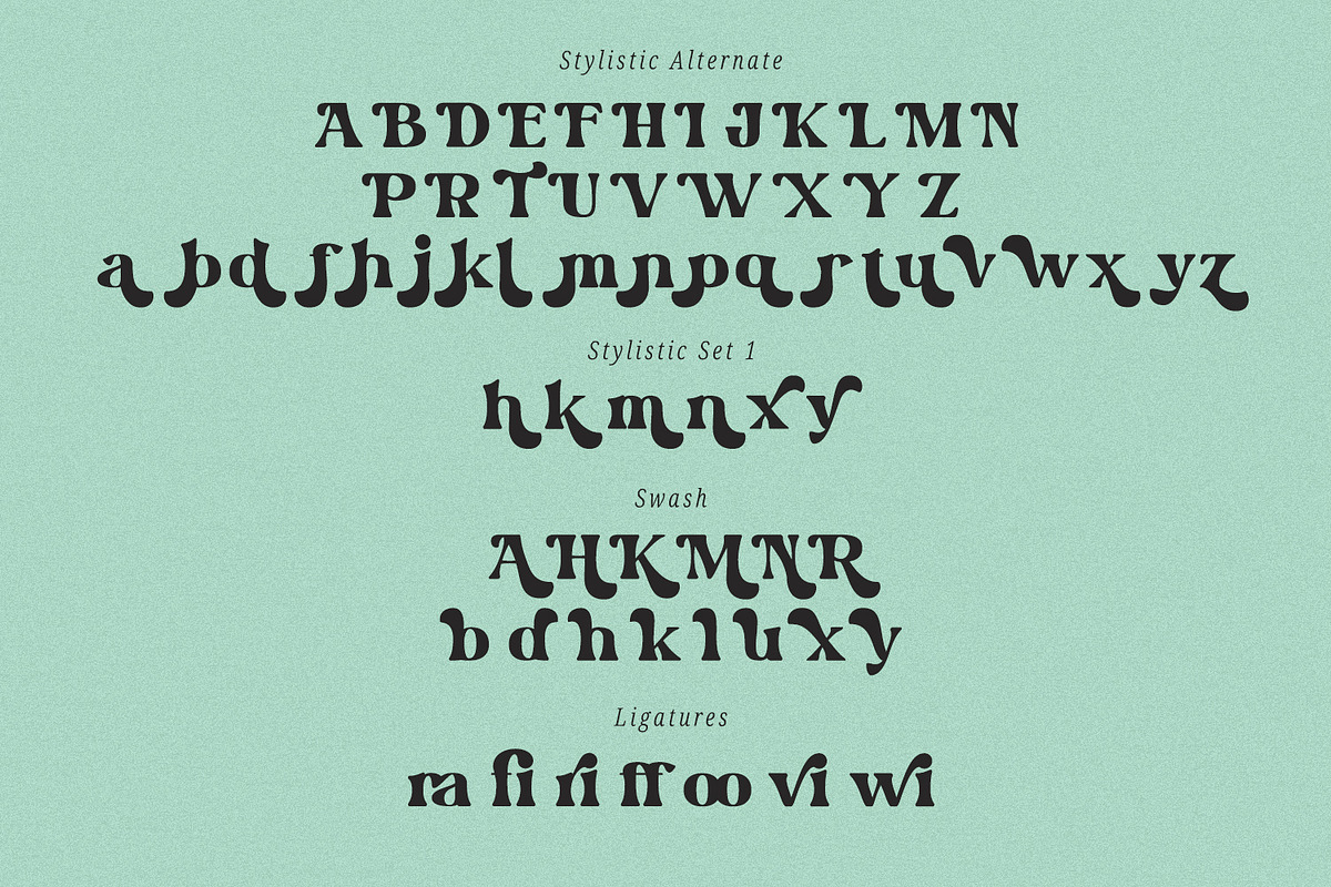 Wild Month, a Serif Font by din-studio.com (Photo 9 of 10)