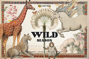 Wild Season. Vintage Collage