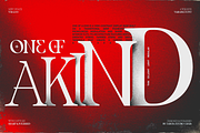 TBJ One Of A Kind Serif Font Family, a Serif Font by Taboja Studio (Thumbnail 1 of 21)