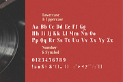 Alextus Serif, a Serif Font by Typegoals Studio (Thumbnail 5 of 6)