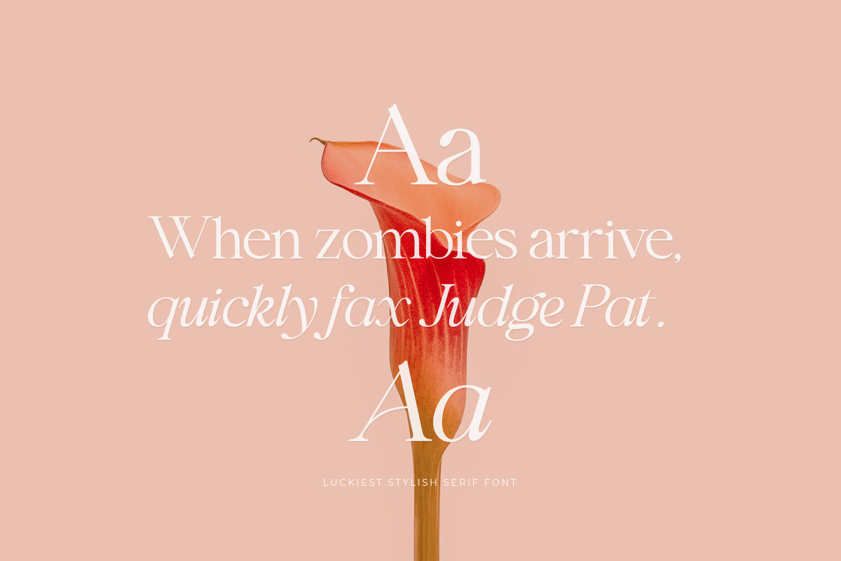 Luckiest | Stylish Serif Font, a Serif Font by Krismagraph (Photo 6 of 16)