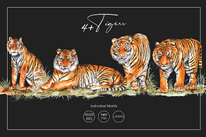 Tiger Print, Luxury & High Quality!