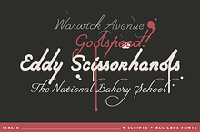 Italix - Script Font Family