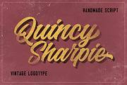 Quicken Vintage Logo Font, a Script Font by Fargun Studio (Thumbnail 2 of 7)