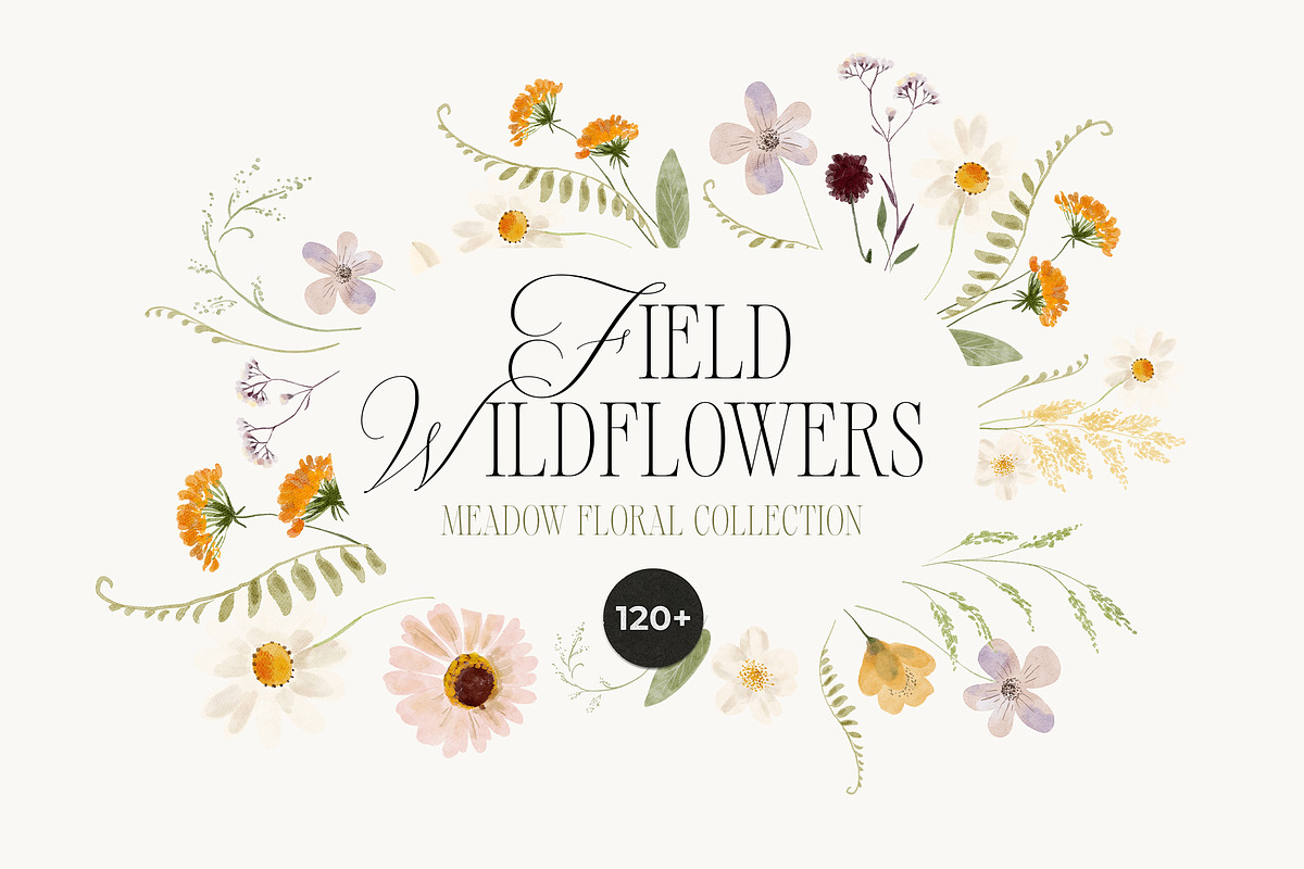 FIELD WILDFLOWERS watercolor, a Decorative Illustration by Lana Elanor (Photo 1 of 12)