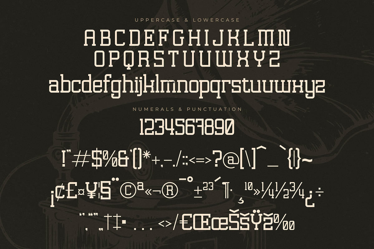 Lastime Echoes Display Slab Serif, a Serif Font by Letterena Studios (Photo 13 of 15)