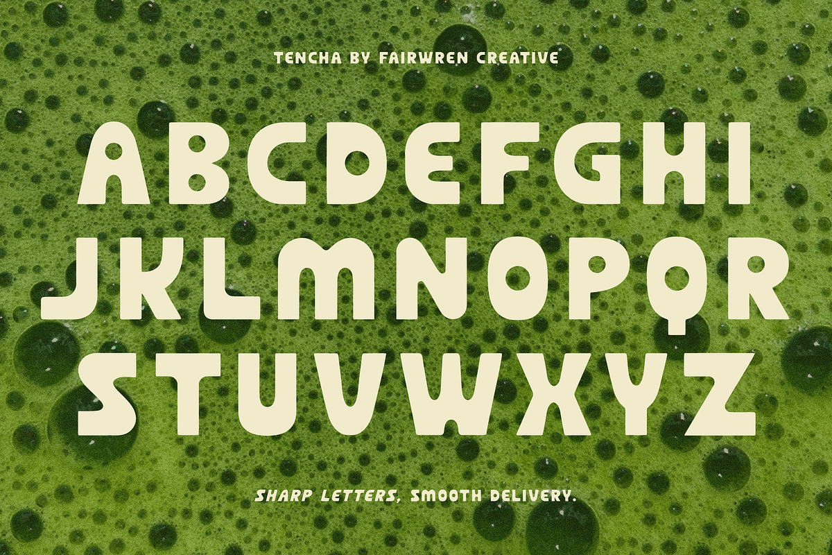 Tencha, a Sans Serif Font by Fairwren Creative (Photo 2 of 6)