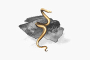 GOLDEN SEA, an Animal Illustration by Eisfrei (Thumbnail 7 of 11)