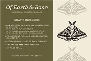 Of Earth & Bone Illustration Pack, an Illustration by cindyroamingdesigns (Thumbnail 3 of 7)