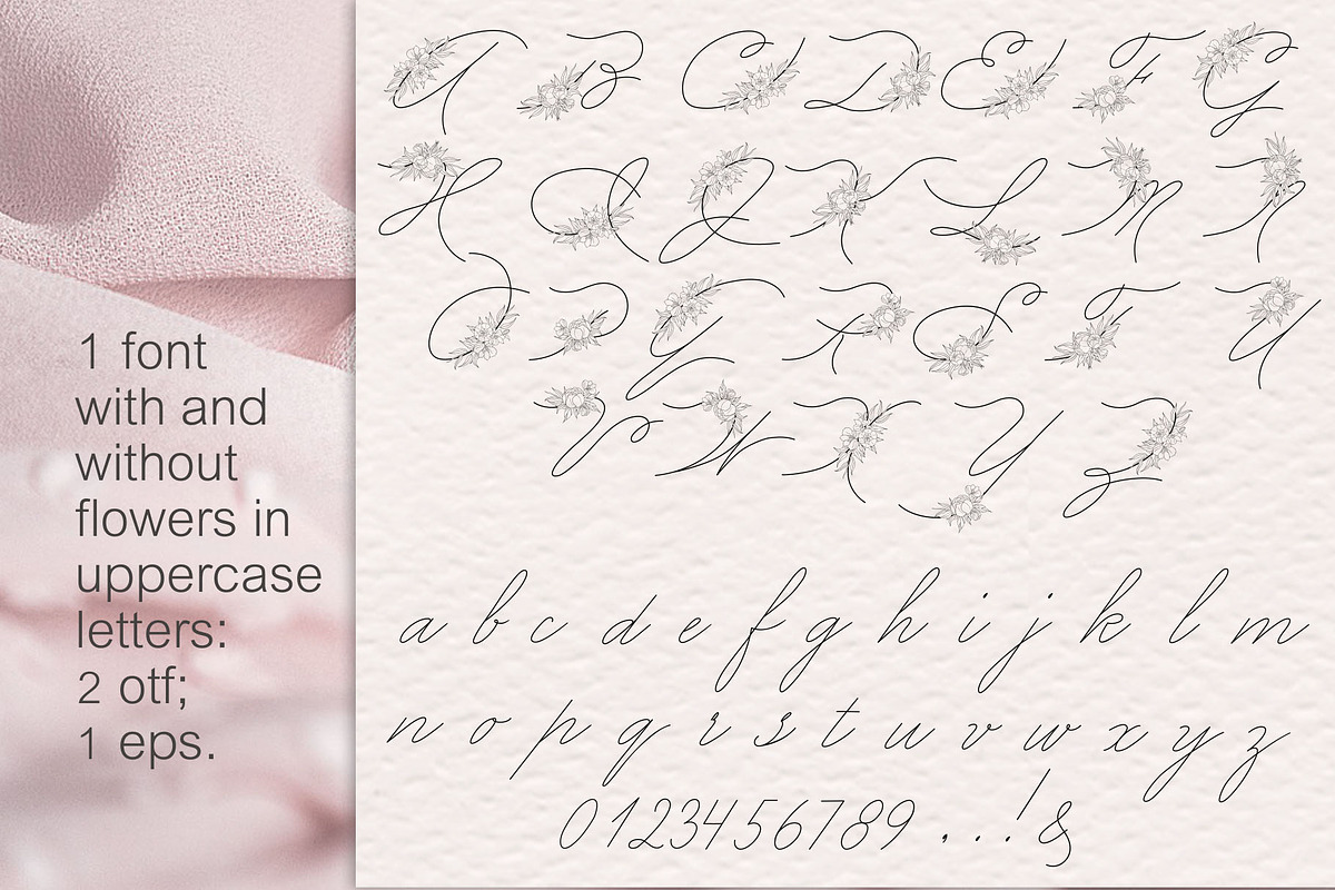 Peony procreate stamps, cliparts, a Brush Add-On by Veronika Gotovceva (Photo 6 of 8)