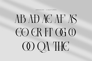 Areogas Vintage - Modern Serif