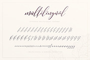 The Versatile Font Bundle, a Sans Serif Font by AlienValley (Thumbnail 91 of 141)