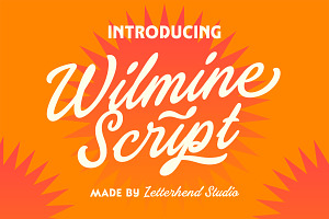 Wilmine Vintage Brush Script