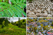 Textures of New Zealand - Bundle, a Nature Photo by Deviant (Thumbnail 3 of 5)