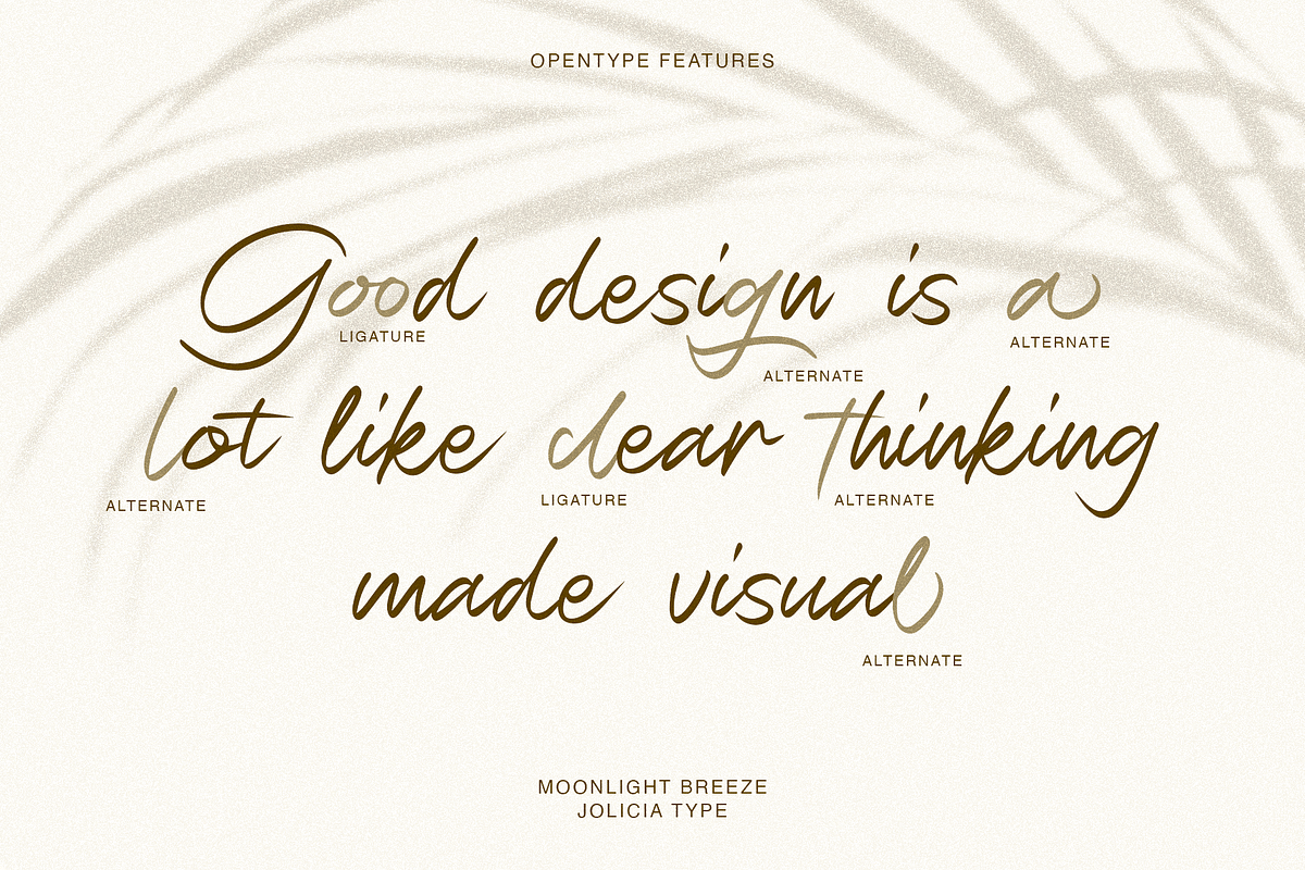 Moonlight Breeze | Handwritten font, a Script Font by Jolicia Type (Photo 9 of 10)