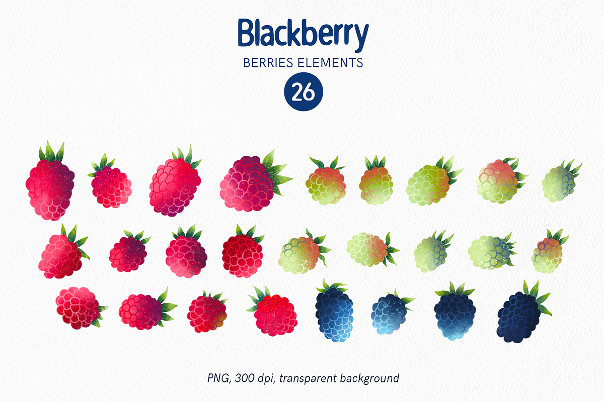 Blackberry fruits and leaves clipart, a Food Illustration by Harmony Draws (Photo 5 of 6)