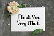 Sunday Vintage, a Handwritten Font by FreshTypeINK (Thumbnail 8 of 8)