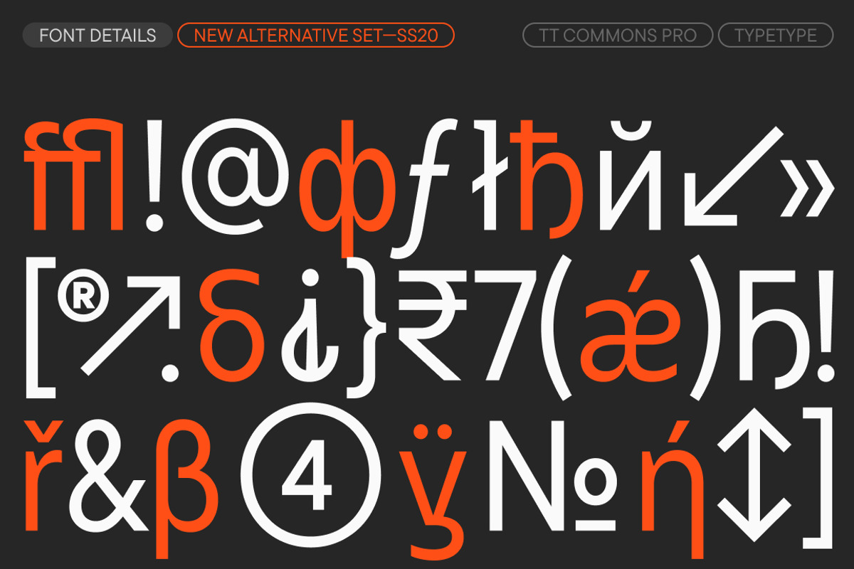 TT Commons Pro Compact, a Sans Serif Font by TypeType (Photo 5 of 6)