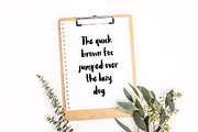 Ladonna Brush Font, a Script Font by CaseyKleeb (Thumbnail 2 of 4)