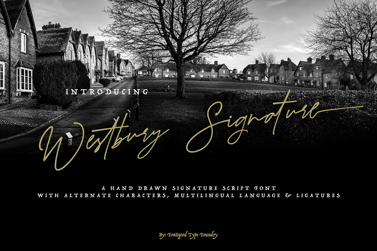 Westbury Signature, a Script Font by Fontsgood (Photo 1 of 7)