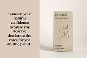 Calive Drawn, a Serif Font by Craft Supply Co. (Thumbnail 7 of 8)