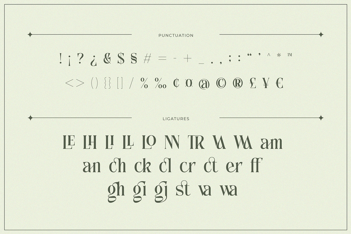 Anchika – Elegant Ligature Serif, a Serif Font by Almeera Std (Photo 10 of 10)