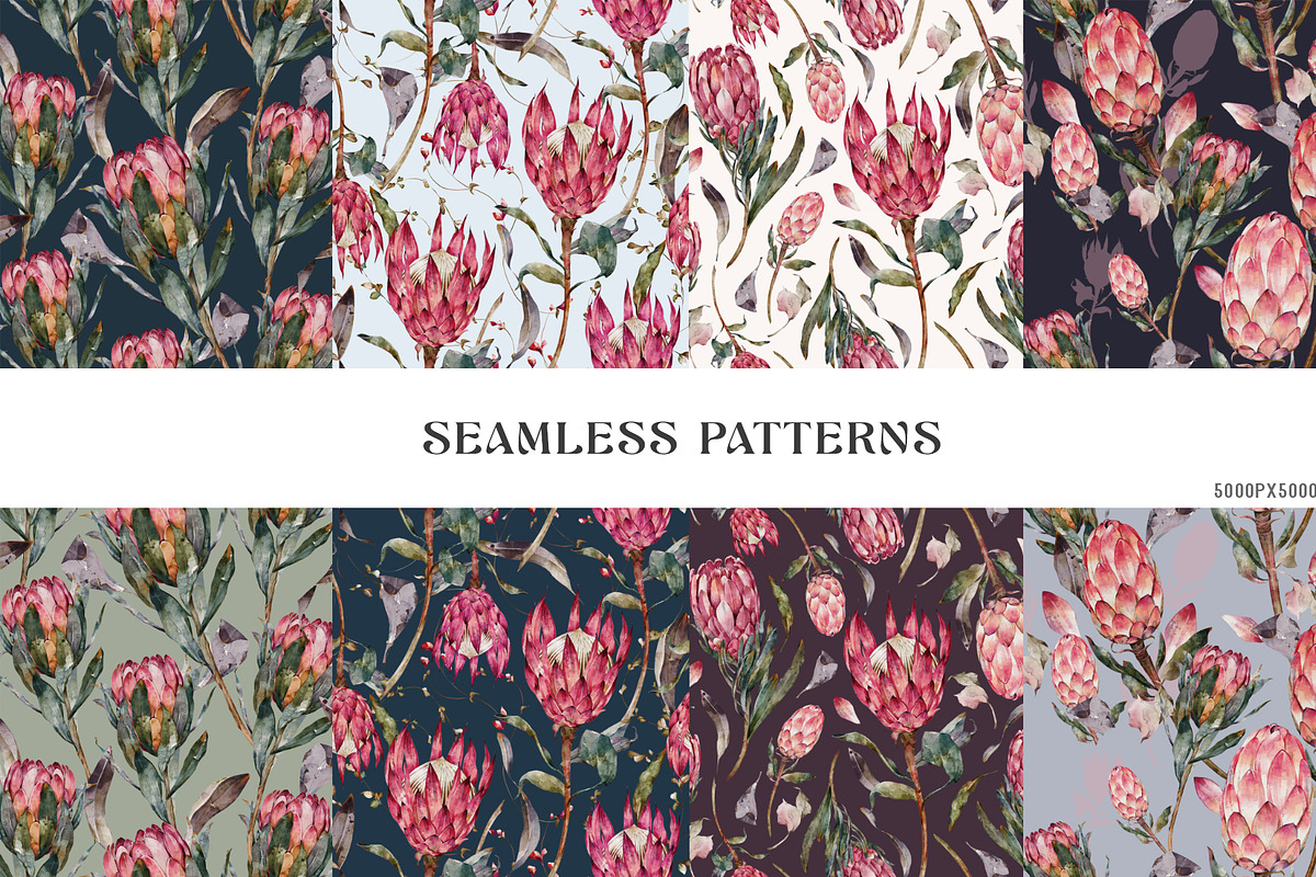 Watercolor Protea Floral Elements, a Decorative Illustration by Damian Roh (Photo 10 of 12)