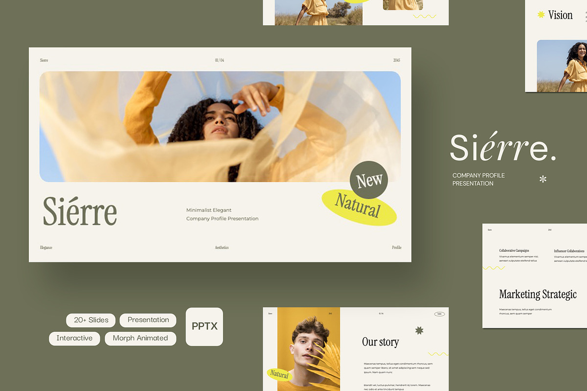 Sierre - Company Profile Powerpoint