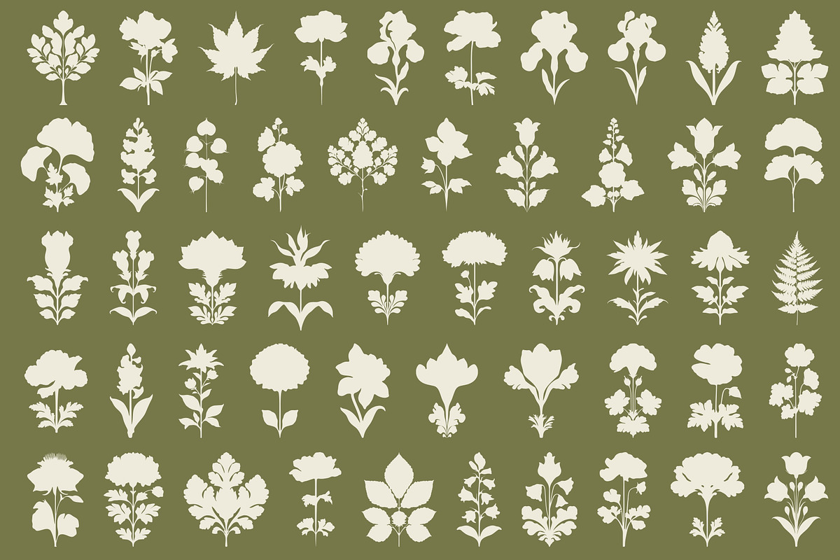 Vintage Botanical: 100 Illustrations, an Object Illustration by Veyla (Photo 5 of 15)