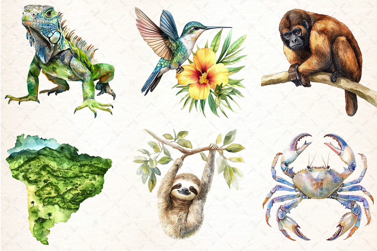 Rainforest Watercolor Vintage Nature, an Illustration by DreamCafeArt (Photo 6 of 7)