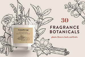 Fragrance Botanicals | 30 designs