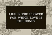 Easter Kelly - Dramatic Font, a Serif Font by Font Kingdom (Thumbnail 5 of 7)