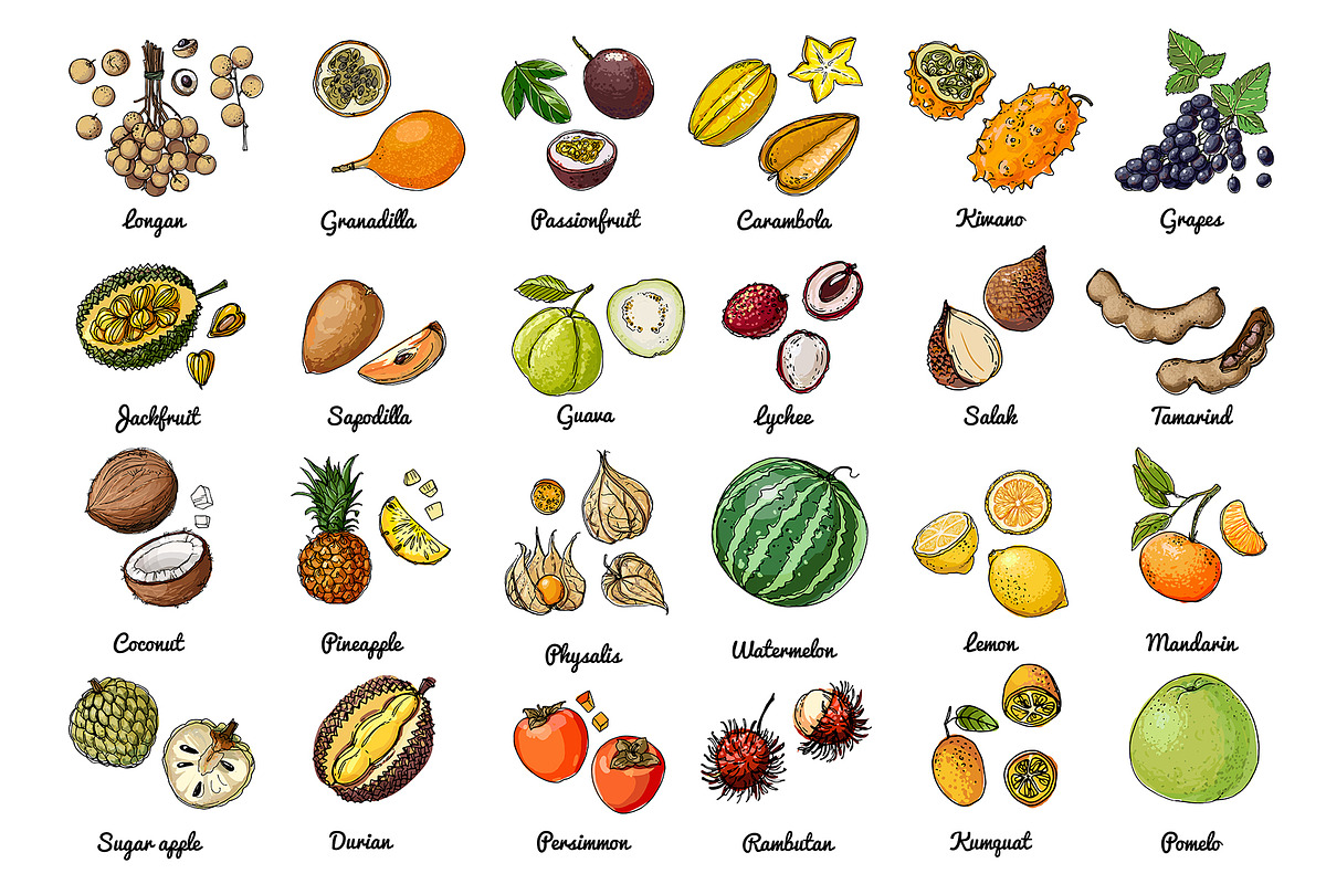 Vector food: vegetables and fruits, a Food Illustration by irina.vaneeva (Photo 5 of 16)