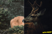 Styled Presets for Lightroom, a Preset Add-On by Hubzway (Thumbnail 2 of 5)