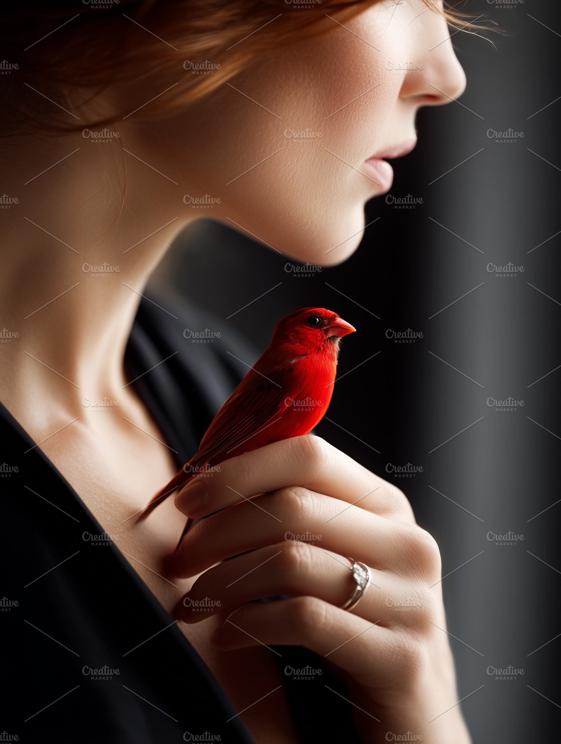 Woman holding a vibrant red bird on, an Animal Photo by MistyDay