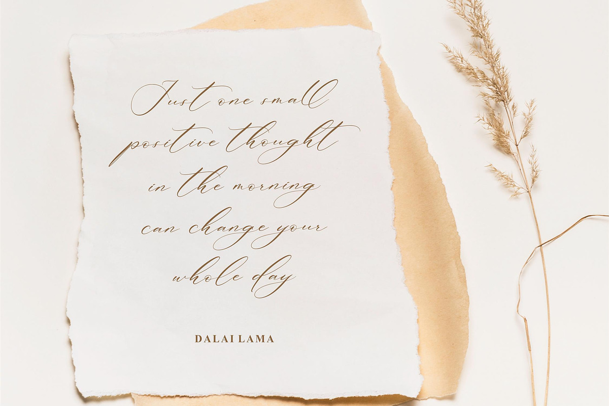 Patricia Rustine Luxury Script Font, a Script Font by Letterena Studios Script (Photo 2 of 15)