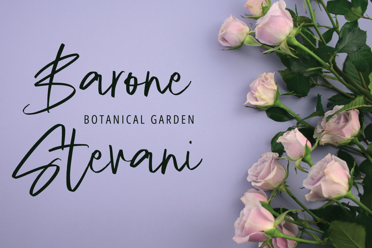 Valine Brush, a Handwritten Font by Eltypesstudio (Photo 2 of 8)
