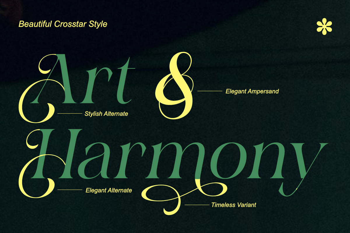 Charon Smith – A Modern Classic, a Serif Font by Qweera Studio (Photo 4 of 12)