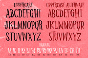 Home Sweet Home, a Serif Font by BBtypeStudios (Thumbnail 7 of 8)