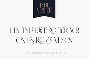 SALE! Type Master - serif font, a Serif Font by VP Fonts (Thumbnail 12 of 24)