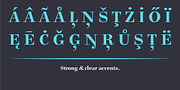 Legit Didone, a Serif Font by Finaltype (Thumbnail 6 of 13)